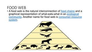 FOOD WEB
• A food web is the natural interconnection of food chains and a
graphical representation of what-eats-what in an ecological
community. Another name for food web is consumer-resource
system.
 