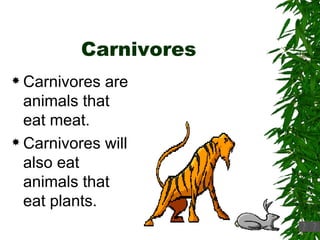 Carnivores Carnivores are animals that eat meat. Carnivores will also eat animals that eat plants. 