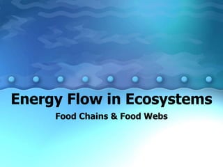 Energy Flow in Ecosystems
Food Chains & Food Webs
 