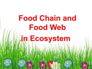 Food Chain and
Food Web
in Ecosystem
 
