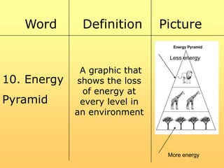 Word

Definition

Picture
Less energy

10. Energy

Pyramid

A graphic that
shows the loss
of energy at
every level in
an environment

More energy

 
