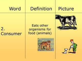 Word

Definition

2.
Consumer

Eats other
organisms for
food (animals)

Picture

 