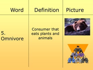Word

Definition

5.
Omnivore

Consumer that
eats plants and
animals

Picture

 