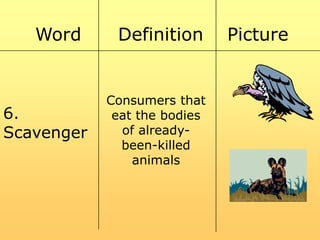 Word

6.
Scavenger

Definition

Consumers that
eat the bodies
of alreadybeen-killed
animals

Picture

 