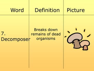 Word

Definition

Breaks down
7.
remains of dead
Decomposer organisms

Picture

 