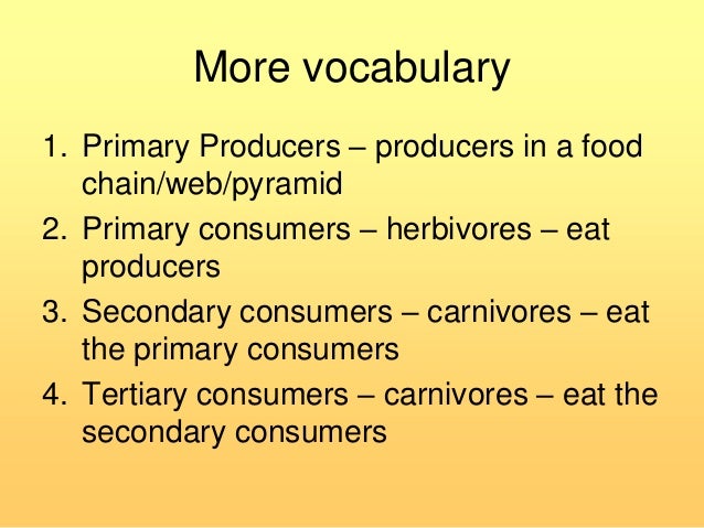 Secondary Consumer Definition