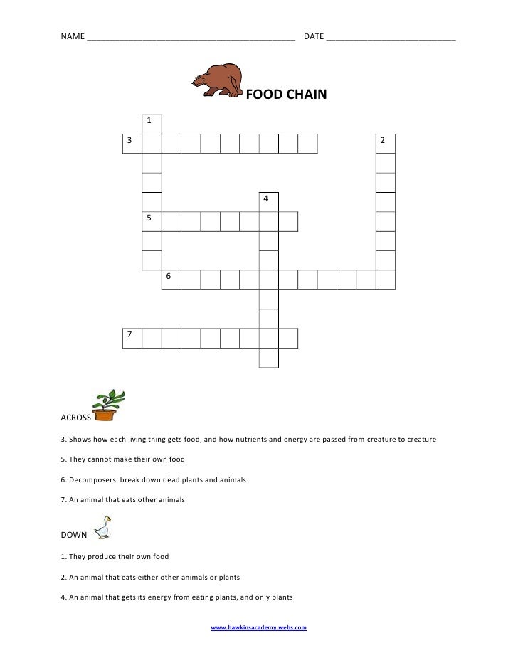 Food Chain Crossword Food Chain Crossword