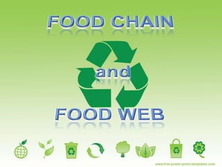 FOOD CHAIN and FOOD WEB 
