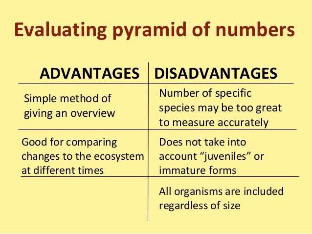 Food chain,food web and ecological pyramids