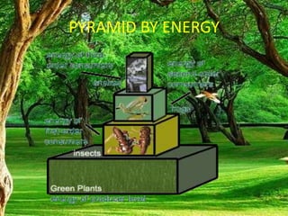 PYRAMID BY ENERGY
 