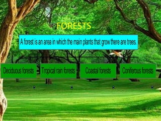 FORESTS
Deciduousforests Tropicalrainforests Coastalforests Coniferousforests
Aforestisanareainwhichthemainplantsthatgrowtherearetrees.
 