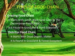 TYPES OF FOOD CHAIN
• Grazing Food Chain
It Starts With Green Plants And Goes To The
Decomposer Food Chain
It Is Found In Grassland & Pond Ecosystem
Detritus Food Chain
It Starts With Dead Organic Matter
It Is Found In Grassland & Forest Ecosystem
 
