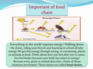 Important of food
chain
Everything in the world requires energy! Walking down
the street, riding your bicycle and learning in school all take
energy We get this energy through eating, or consuming, plants
or animals as food. Think about how you feel after you've eaten.
You feel better because your body has taken in energy!
Because every plant or animal does this, chains of these
creatures are formed. These chains are called food chains
 