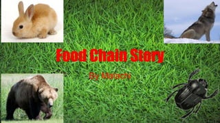 Food Chain Story
By Malachi
 