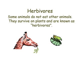 Herbivores Some animals do not eat other animals. They survive on plants and are known as “herbivores”. 