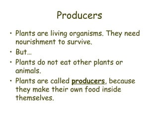 Producers Plants are living organisms. They need nourishment to survive. But… Plants do not eat other plants or animals. Plants are called  producers , because they make their own food inside themselves. 