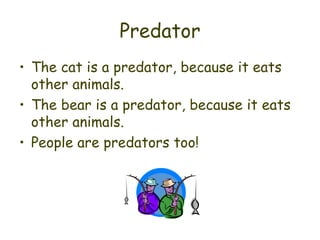 Predator The cat is a predator, because it eats  other animals. The bear is a predator, because it eats other animals. People are predators too! 