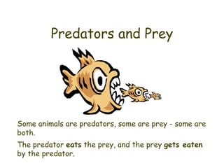 Predators and Prey Some animals are predators, some are prey - some are both. The predator  eats  the prey, and the prey  gets eaten  by the predator. 
