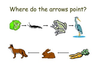 Where do the arrows point? 
