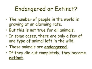 Endangered or Extinct? The number of people in the world is growing at an alarming rate. But this is not true for all animals. In some cases, there are only a few of one type of animal left in the wild. These animals are  endangered . If they die out completely, they become  extinct . 