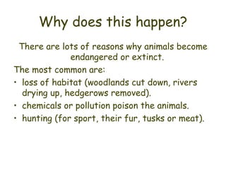 Why does this happen? There are lots of reasons why animals become endangered or extinct. The most common are: loss of habitat (woodlands cut down, rivers drying up, hedgerows removed). chemicals or pollution poison the animals. hunting (for sport, their fur, tusks or meat). 