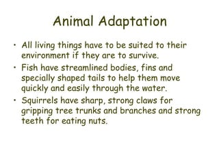 Animal Adaptation All living things have to be suited to their environment if they are to survive. Fish have streamlined bodies, fins and specially shaped tails to help them move quickly and easily through the water.  Squirrels have sharp, strong claws for gripping tree trunks and branches and strong teeth for eating nuts. 