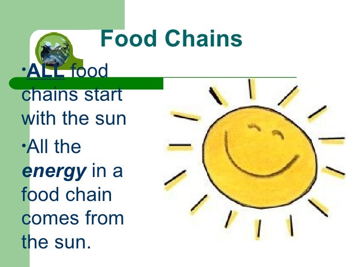 the sun food what is the sun in a food chain best chain 2018 the sun food what is the sun in a food chain best chain 2018