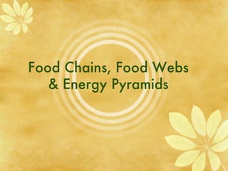 Food Chains, Food Webs & Energy Pyramids 