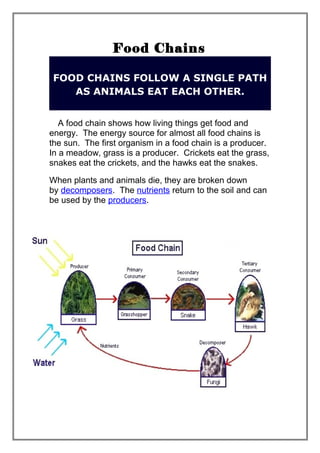 Food Chains 
FOOD CHAINS FOLLOW A SINGLE PATH 
AS ANIMALS EAT EACH OTHER. 
A food chain shows how living things get food and 
energy. The energy source for almost all food chains is 
the sun. The first organism in a food chain is a producer. 
In a meadow, grass is a producer. Crickets eat the grass, 
snakes eat the crickets, and the hawks eat the snakes. 
When plants and animals die, they are broken down 
by decomposers. The nutrients return to the soil and can 
be used by the producers. 
 