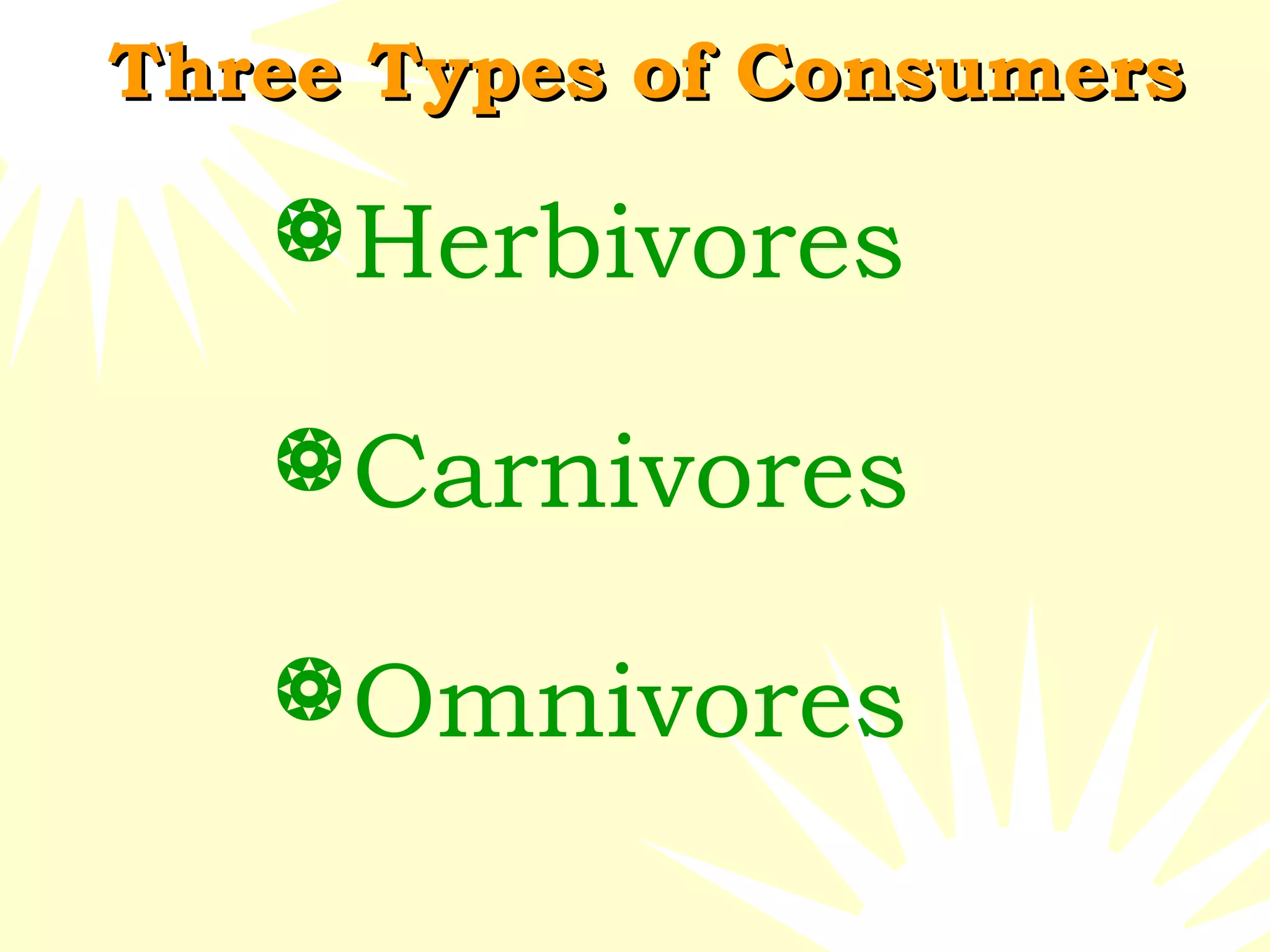 Food chains Biology Diagrams