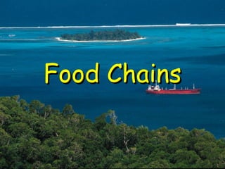 Food ChainsFood Chains
 