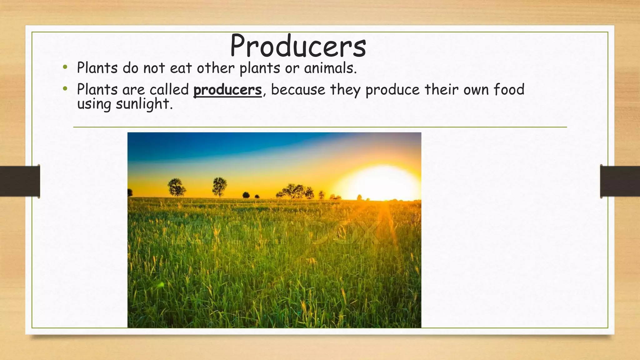 Producers
• Plants do not eat other plants or animals.
• Plants are called producers, because they produce their own food
using sunlight.
 
