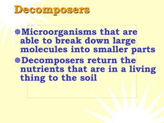 Decomposers
Microorganisms that are
able to break down large
molecules into smaller parts
Decomposers return the
nutrients that are in a living
thing to the soil
 
