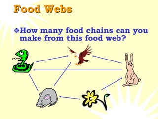 Food Webs
How many food chains can you
make from this food web?
 
