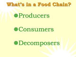 What’s in a Food Chain?
Producers
Consumers
Decomposers
 