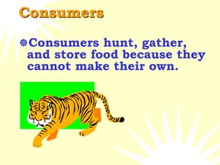 Consumers
Consumers hunt, gather,
and store food because they
cannot make their own.
 