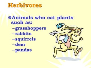 Herbivores
Animals who eat plants
such as:
–grasshoppers
–rabbits
–squirrels
–deer
–pandas
 