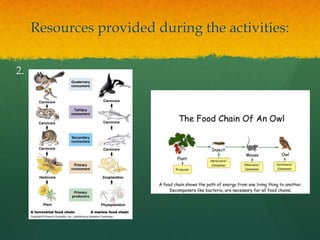 Food chains (5th level) | PPTX