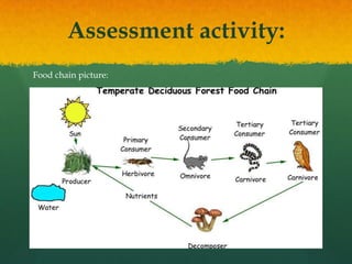 Assessment activity:
Food chain picture:

 
