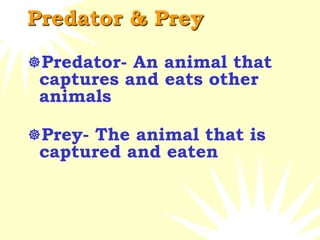 Predator & Prey
Predator- An animal that
captures and eats other
animals
Prey- The animal that is
captured and eaten
 