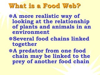 What is a Food Web?
A more realistic way of
looking at the relationship
of plants and animals in an
environment
Several food chains linked
together
A predator from one food
chain may be linked to the
prey of another food chain
 