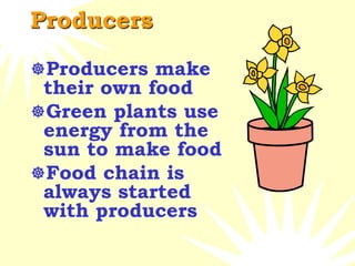 Producers
Producers make
their own food
Green plants use
energy from the
sun to make food
Food chain is
always started
with producers
 
