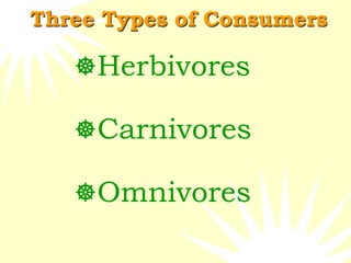 Three Types of Consumers
Herbivores
Carnivores
Omnivores
 