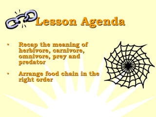 Lesson Agenda
• Recap the meaning of
herbivore, carnivore,
omnivore, prey and
predator
• Arrange food chain in the
right order
 