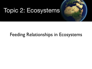 Topic 2: Ecosystems


  Feeding Relationships in Ecosystems
 