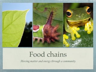 Food chains
Moving matter and energy through a community
 