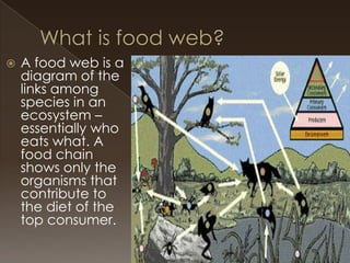 

A food web is a
diagram of the
links among
species in an
ecosystem –
essentially who
eats what. A
food chain
shows only the
organisms that
contribute to
the diet of the
top consumer.

 