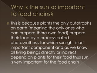 

This is because plants the only autotrophs
on earth (meaning the only ones who
can prepare there own food) prepare
their food by a process called
photosynthesis for which sunlight is an
important component and as we know
all living beings directly or indirect
depend on plants for their food thus sun
is very important for the food chain

 