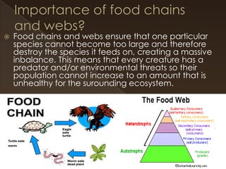 

Food chains and webs ensure that one particular
species cannot become too large and therefore
destroy the species it feeds on, creating a massive
inbalance. This means that every creature has a
predator and/or environmental threats so their
population cannot increase to an amount that is
unhealthy for the surounding ecosystem.

 