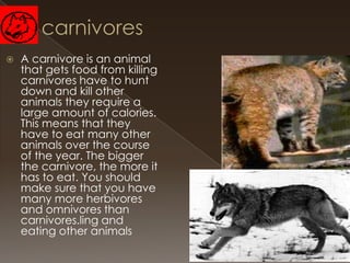 

A carnivore is an animal
that gets food from killing
carnivores have to hunt
down and kill other
animals they require a
large amount of calories.
This means that they
have to eat many other
animals over the course
of the year. The bigger
the carnivore, the more it
has to eat. You should
make sure that you have
many more herbivores
and omnivores than
carnivores.ling and
eating other animals

 